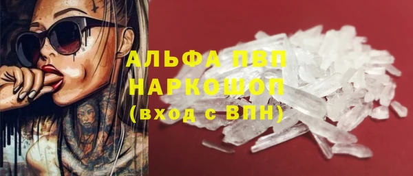 гидра Верхний Тагил