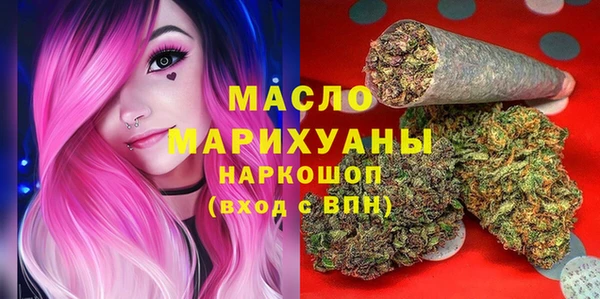 гидра Верхний Тагил