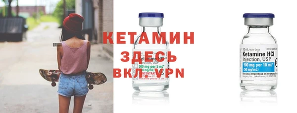 гидра Верхний Тагил