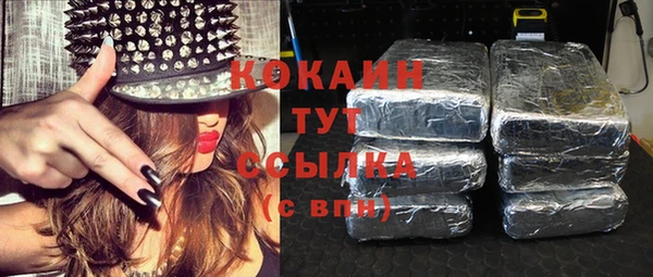 гидра Верхний Тагил