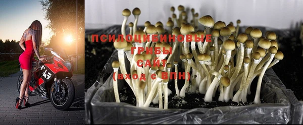 дистиллят марихуана Волоколамск