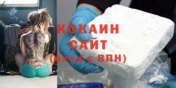 гидра Верхний Тагил