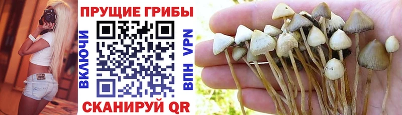 Галлюциногенные грибы мухоморы  закладки  Сызрань 